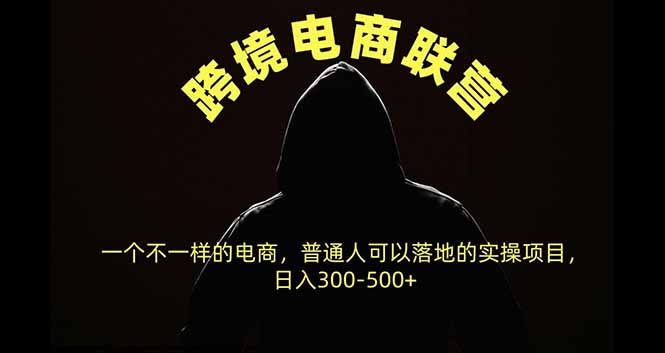 跨境电商联营，一个不一样的电商，普通人可操作日入300-500+-娜娜项目网
