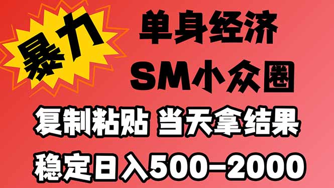 26年 最新小众情感赛道,手机操作,十分钟见收益,小白也能当天上手,全程复制粘贴模板即可,稳定日入1k+-娜娜项目网