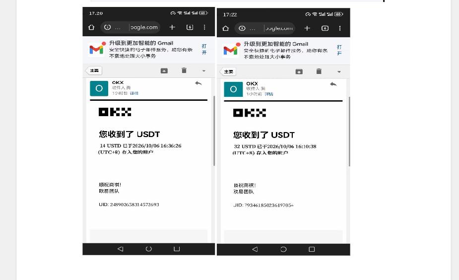 图片[4]-外面收费8000的myupload视频挂机撸美金项目，单日收益20-50美金+工作室可批量搞【挂机脚本+详细教程】-娜娜项目网