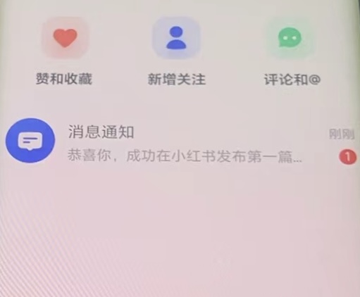 价值几百的小红书不出恭喜 不加热（方法揭秘）