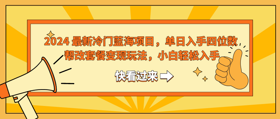 2024最新冷门蓝海项目，小白轻松入手，单日收入四位数